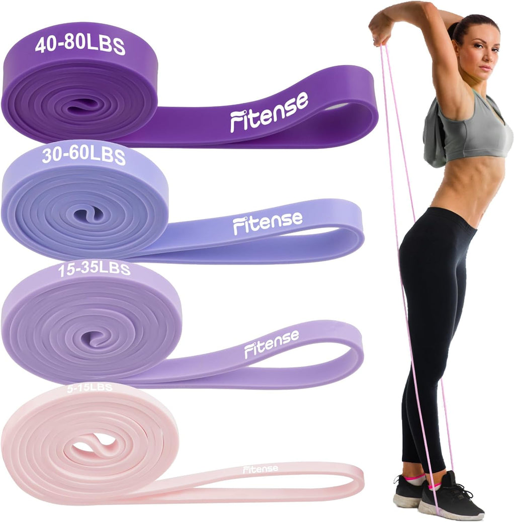Skiennix Resistance Bands Set - Versatile Pull Up Bands for Men & Women with Door Anchor, Training Poster & Pouch