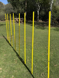 BlueDot Trading Soccer Agility Poles - Telescopic & Collapsible Options | Speed Training Sets (4, 6, 8 Pieces)