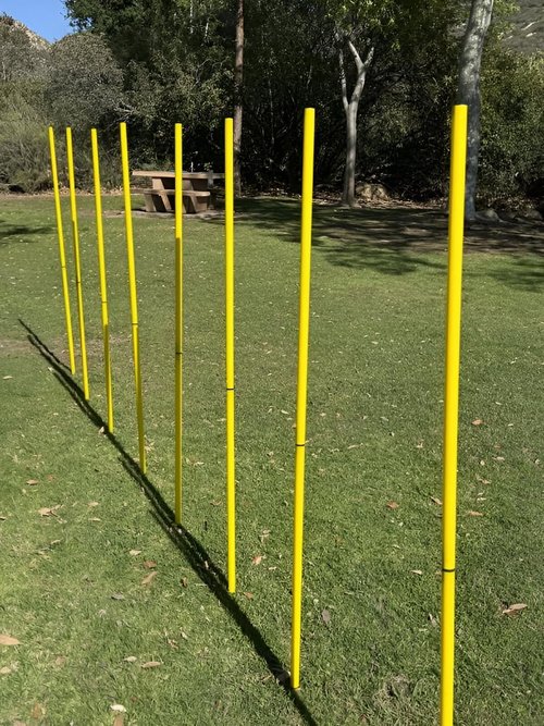 BlueDot Trading Soccer Agility Poles - Telescopic & Collapsible Options | Speed Training Sets (4, 6, 8 Pieces)