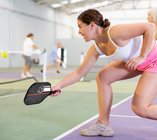 Alpha Gato Carbon Fiber Pickleball Paddles Set with 2 Paddles, Carry Case, 4 Balls, Lightweight Pickle Ball Paddle Set of 2 with 4 Balls, 1 Bag, Pickleball Rackets for Adults and Teenager, Black