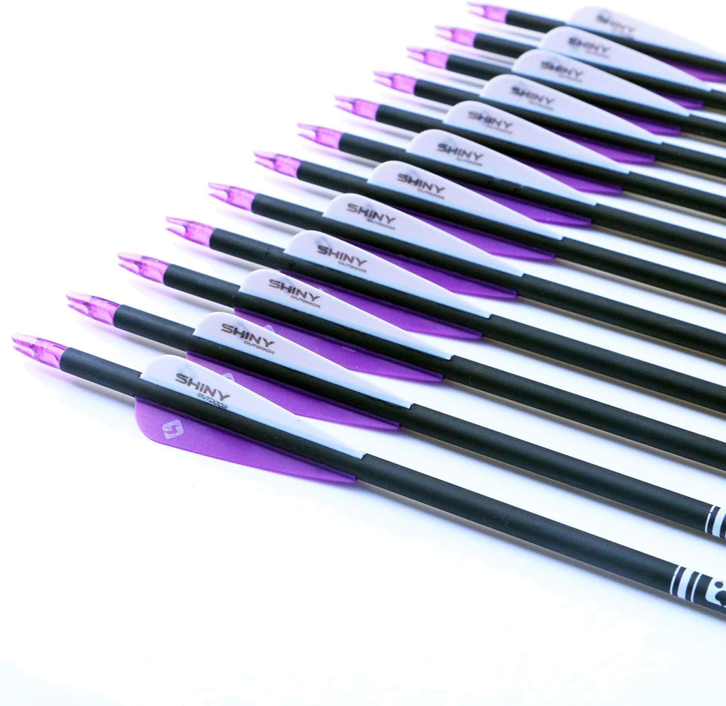 Skiennix 30-Inch Carbon Hunting Arrows - Removable Tips for Compound & Recurve Bows | Pack of 12