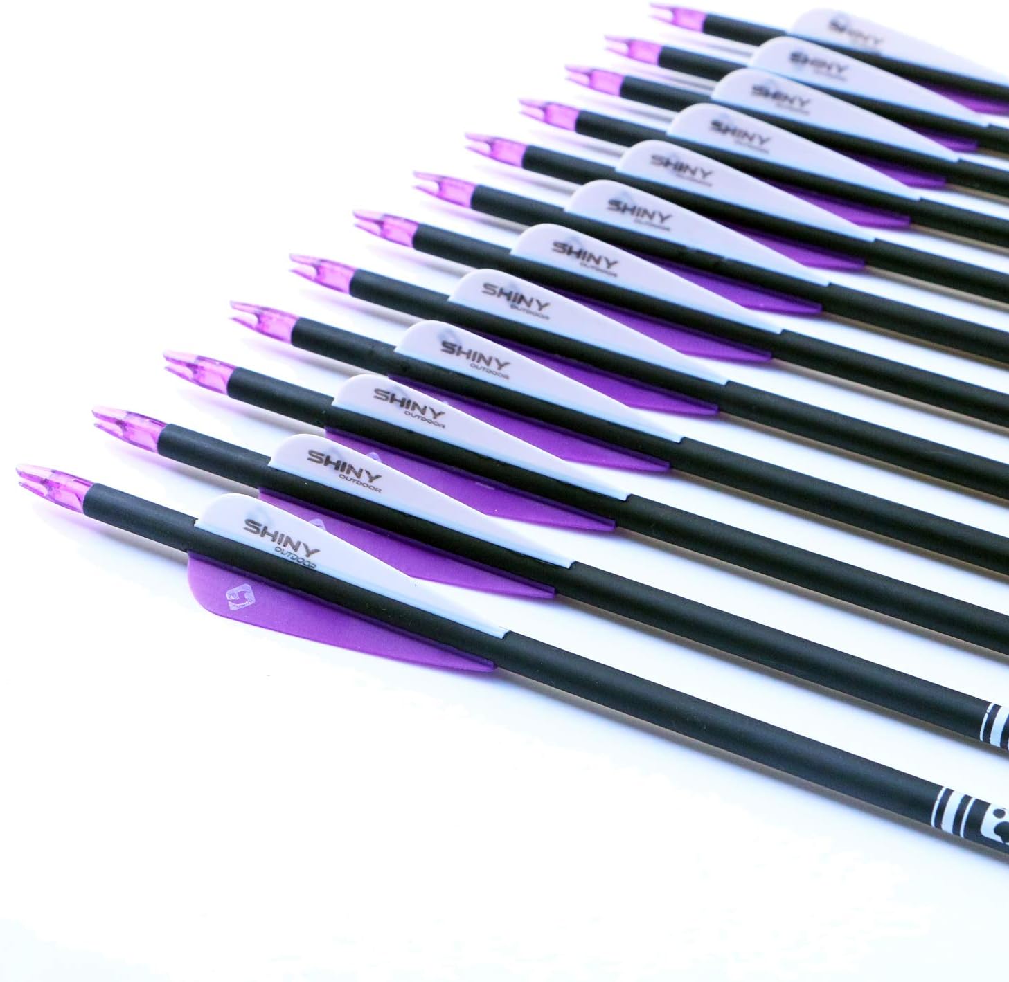 Skiennix 30-Inch Carbon Hunting Arrows - Removable Tips for Compound & Recurve Bows | Pack of 12