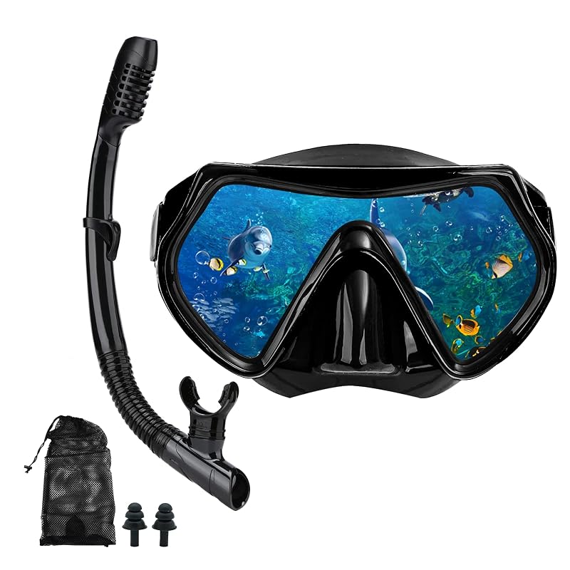 Dry-Valve Snorkel Mask Set for Adults - Black Variation