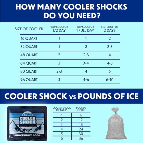 Cooler Shock Reusable Prefilled Ice Packs for Coolers & Lunch Boxes - Long Lasting Cold Freezer Packs for Lunchbox, Non-Toxic Gel Ice Pack for Camping, Lunch Bags, Road Trips, 2 Pack (6.5"x7.5")