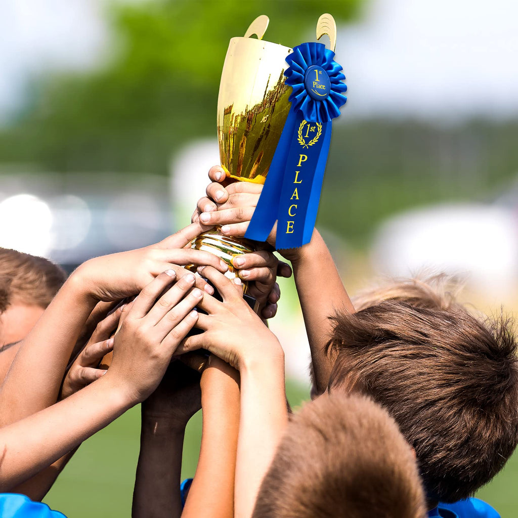 Lewtemi 3 Packs 1st Place Blue Ribbon Award Rosette Ribbon Grand Prize Ribbons Winner Victory Prize Deluxe Recognition Award for Classroom, Competition and Sports Events