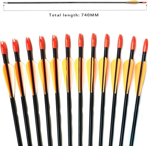 Archery 28" Fiberglass Arrows - Perfect for Beginners, Women & Kids | Pack of 12 for Recurve Bow
