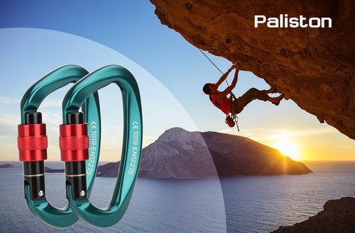Locking Carabiner - 25kN 5600lb Climbing Carabiner Screw Gate D Shape Carabiner Green (Pack of 2)