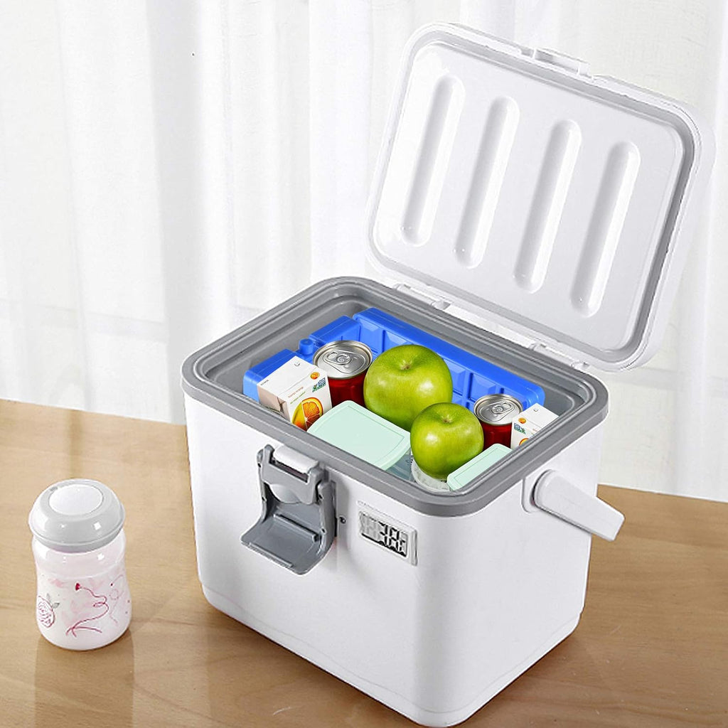 Rev. Lang Large Freezer Ice Pack - Reusable Quick Freezing Blocks with Handle | Set of 2 (1000g)