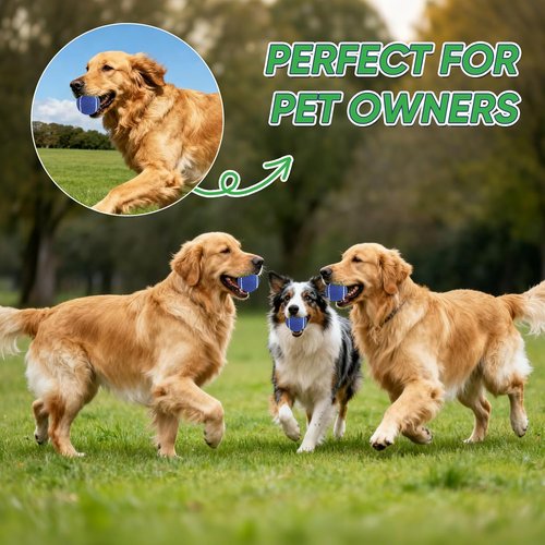 High-Visibility Tennis Balls by [Brand Name] - Durable, High Elasticity Training Balls for Beginners | 3/4 Pack for Dogs & Courts