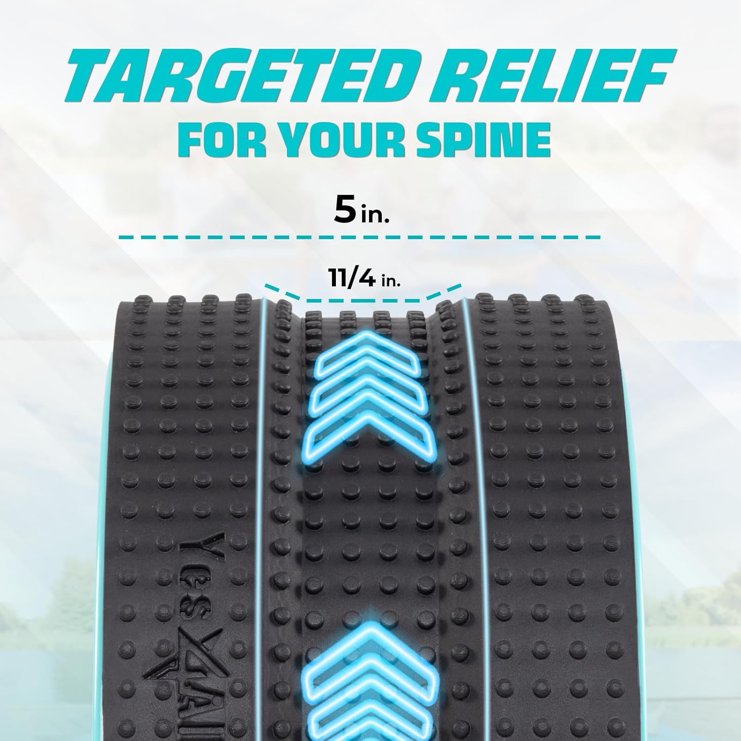 Yes4All Yoga Wheel Roller - 500 lb Capacity Back Cracker for Comfort in Hips & Neck | 6”/10”/12” Sizes Available