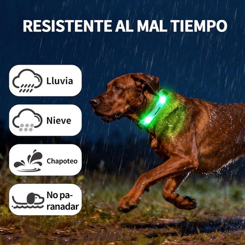 LaRoo Dog Collar Light - LED Safety Lights for Night Walking | Universal Fit for Leash & Harness (Green)