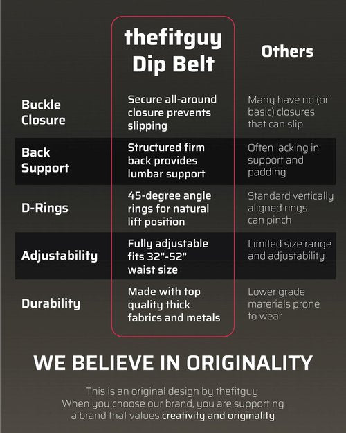 THEFITGUY Ultimate Dip Belt | Secure Closure - No Sliding Down | Structured Back Support | 45-Angle Rings - Comfort Dip Position | 40” Strap & 2 Snap Hooks - for Dips, Pull Ups, Squats, Weight Lifting