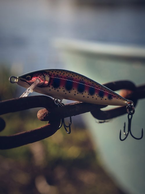 Rapala Count Down Elite Minnow Lure, Sinking Hard Bait, Trout Bass Walleye Fishing Lure, Controlled Depth, 2-1/4", Gilded Rainbow Trout
