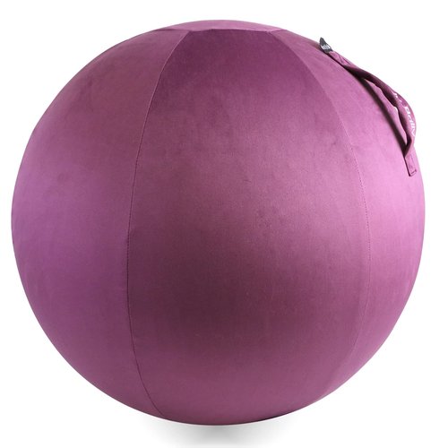 Howdy Bally Protective Cover for Home-Use Yoga/Exercise/Balance Ball with Convenient Carry Handles - Foldable, Durable Anti-Burst Cover for Sitting Ball Chair, Office Use - 55cm