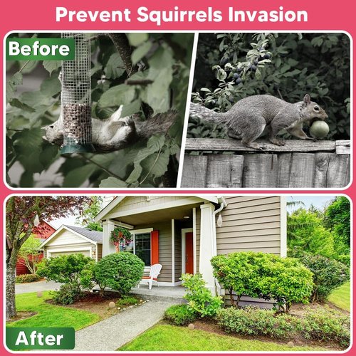 AUDQQM Squirrel Repellent Outdoor, Chipmunk Repellent, Peppermint Deterrent to Keep Squirrels & Chipmunks Away, Suitable for Garden, Yard, Attic, Lasting 60 Days-10 Packs