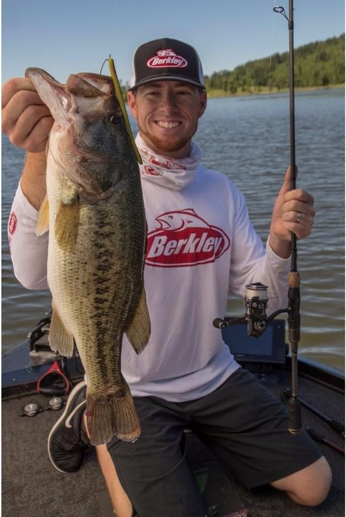 Berkley PowerBait MaxScent D-Worm | Enhanced Scented Fishing Bait for Superior Catching