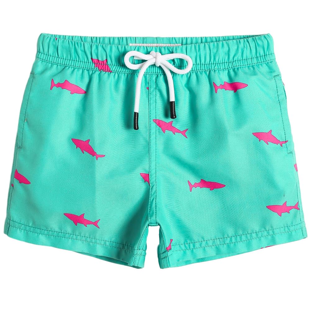 maamgic Boys Swim Trunks Toddler Swim Shorts Little Boys Bathing Suit Swimsuit Toddler Boy Swimwear,Shark SkyBlue,2 T