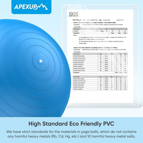 APEXUP Yoga Ball - Anti-Slip Heavy Duty Exercise Ball for Fitness & Core Workouts | 5 Sizes Available