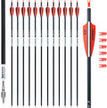 Skiennix 31-Inch Carbon Arrows - Removable Tips for Target Practice | Pack of 12 for Compound & Recurve Bows