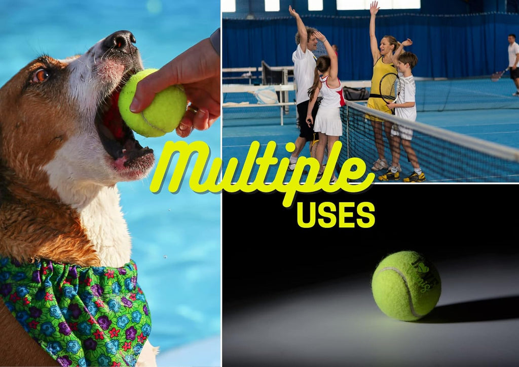 Skiennix Unique Tennis Balls Gift Set - 3 Distinctive Balls in Elegant Package for Teammates & Partners