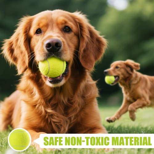 PHOEPET 6-Pack Tennis Balls for Dogs, Bulk Rubber Ball for Fetch Chew Toys Beginner Training Practice(Yellow)
