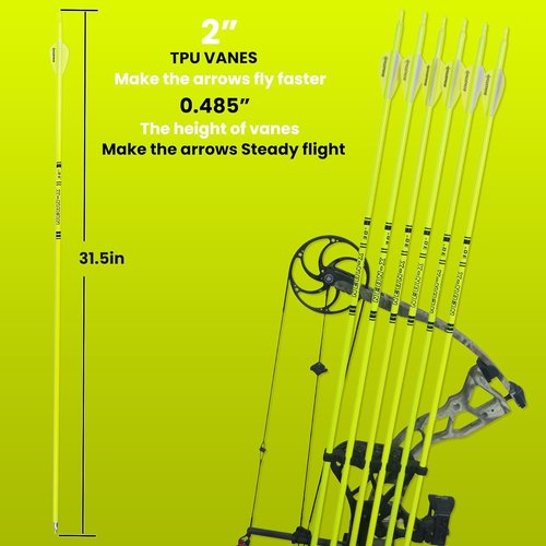 Carbon Arrow Archery | 30-Inch Bright Color Hunting Target Practice Arrows - Spine 500, Pack of 12