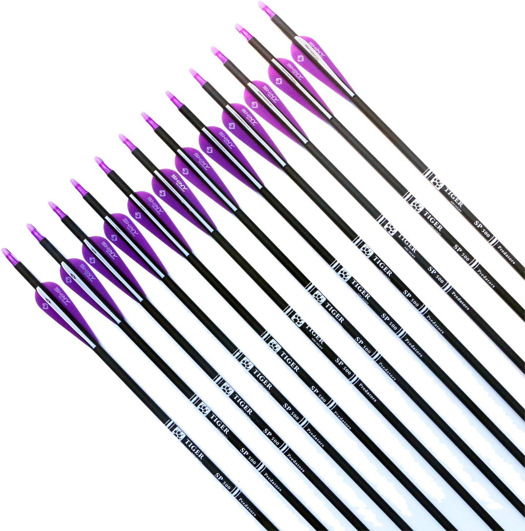Skiennix 30-Inch Carbon Hunting Arrows - Removable Tips for Compound & Recurve Bows | Pack of 12