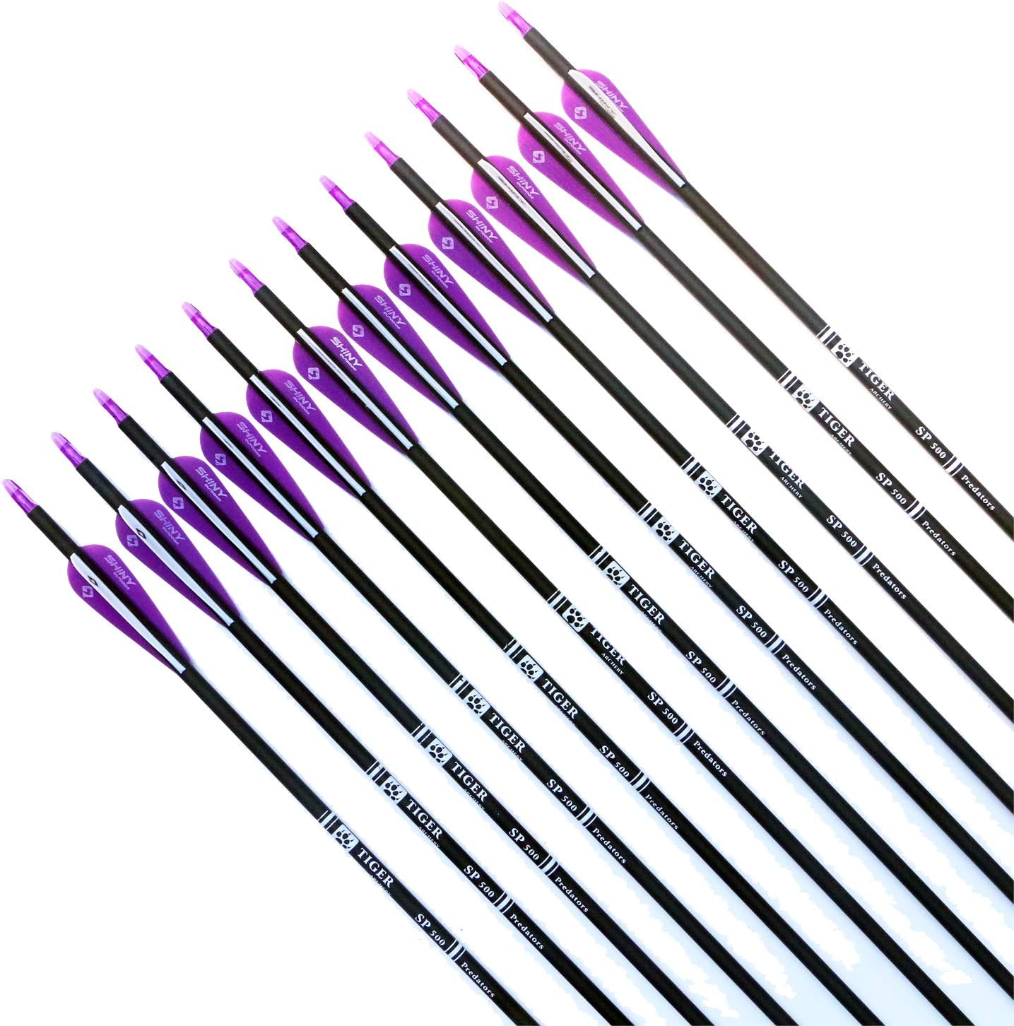 Skiennix 30-Inch Carbon Hunting Arrows - Removable Tips for Compound & Recurve Bows | Pack of 12