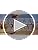 Tifosi Sanctum Shield Sunglasses - Cycling, Running & Golf - Blackout Smoke Polarized