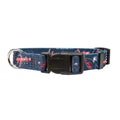 Littlearth NHL Unisex Pet Team Collar