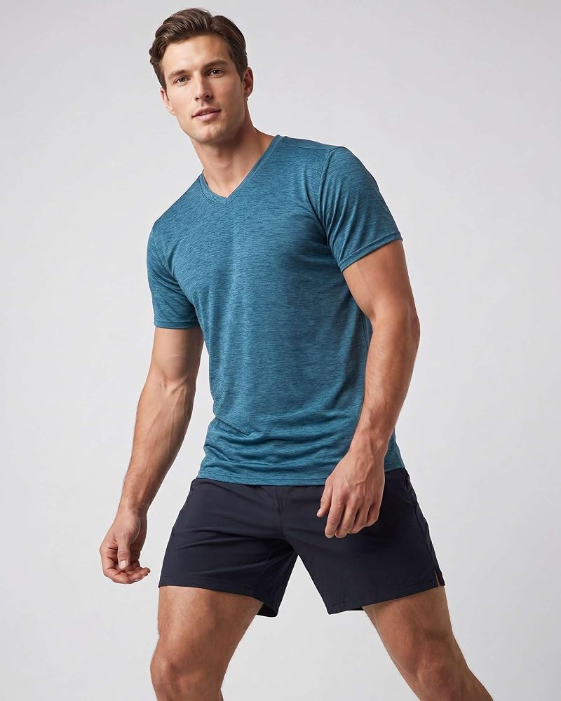 5 Pack Men's Dry Fit V-Neck T-Shirts – Quick Dry Gym Tees, Set 1+Large
