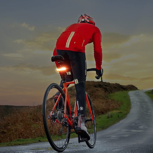TANMORT Bike Tail Lights USB Rechargeable, Ultra Bright 120 Lumens Powerful 10 LEDs Rear Bicycle Light, IP64 Waterproof Dustproof, 7 Light Mode Options, Cycling Safety Warning Flashlight 2 Pack