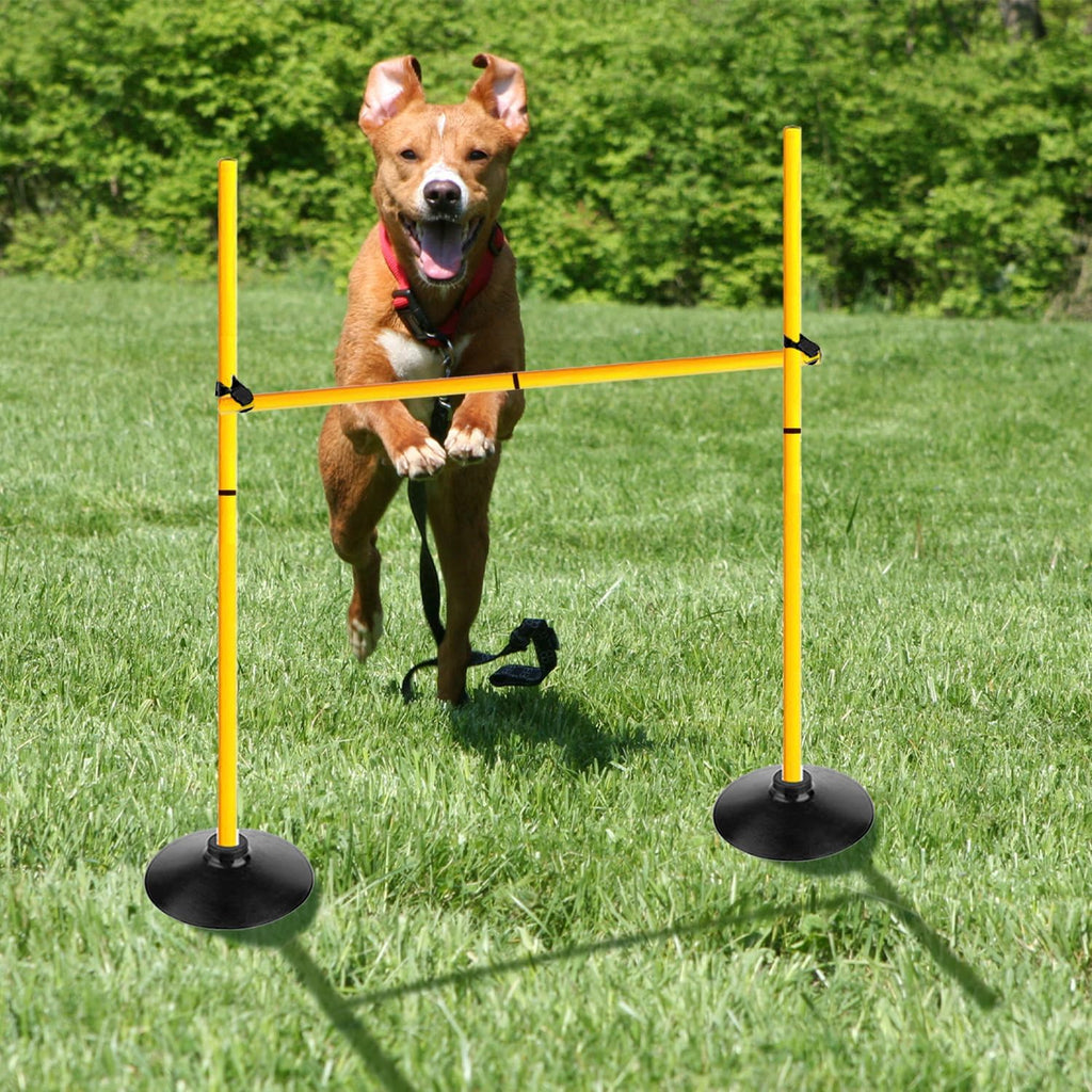 Skiennix Adjustable Height Agility Hurdle Set - Multi-Function Soccer Training Poles with Rubber Base