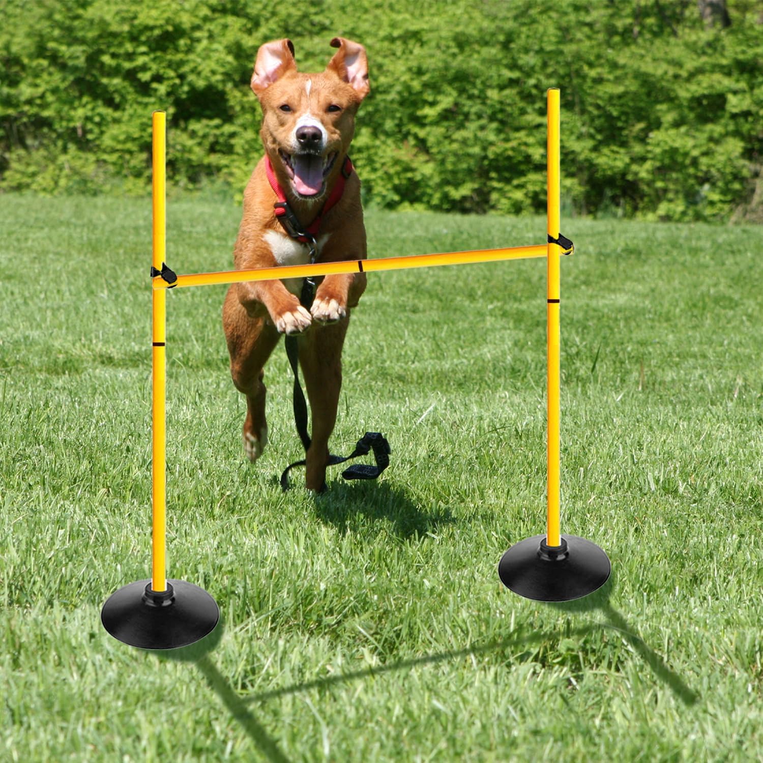 Skiennix Adjustable Height Agility Hurdle Set - Multi-Function Soccer Training Poles with Rubber Base