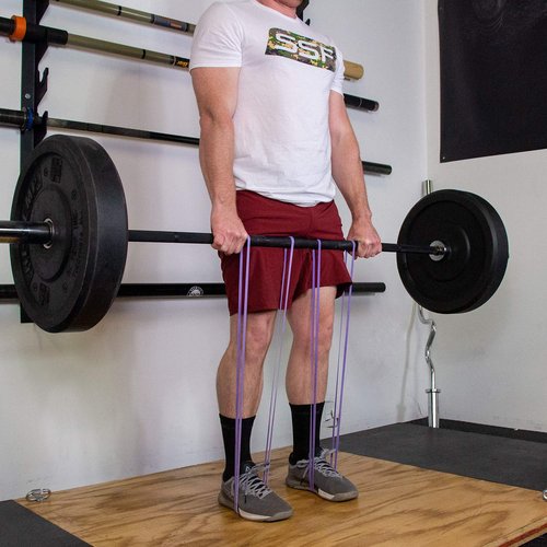 Serious Steel Fitness Short 20" Deadlift Bands (Sold in Pairs) (#1 Purple)