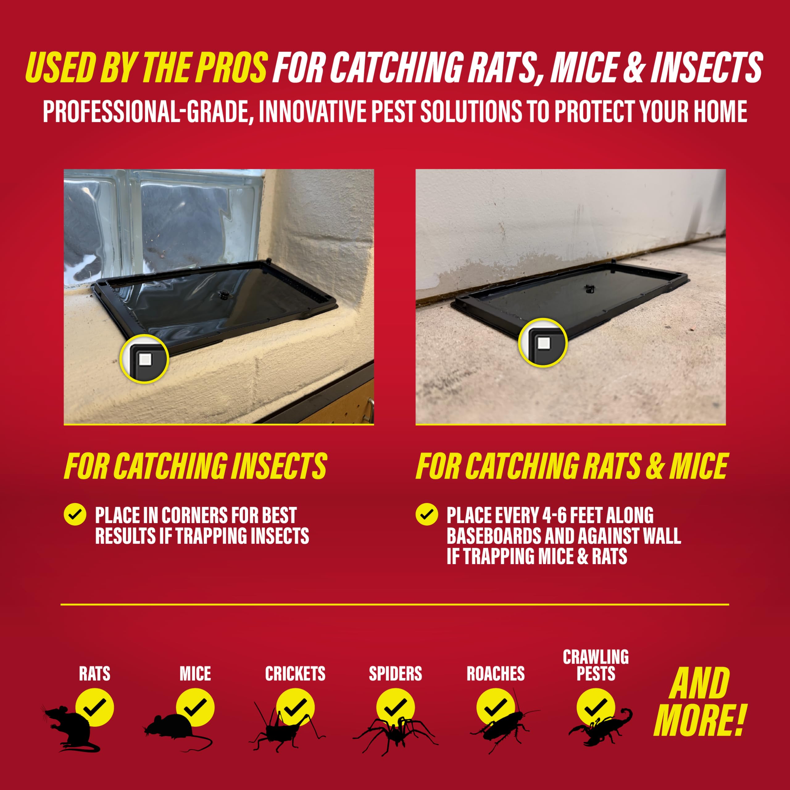 Catchmaster Rat & Mouse Glue Traps with Sticky Putty 2Pk, Large Bulk Glue Board, Rat & Mouse Traps Indoor for Home, Adhesive Plastic Tray for Snakes, Mice & Spiders, Pest Control for House & Garage