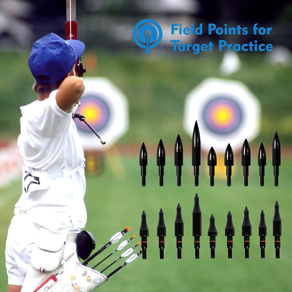 Skiennix Archery Arrow Tips - 12pcs Field Tips for Recurve & Compound Bows | 100-200 Grain, 5/16 Inch