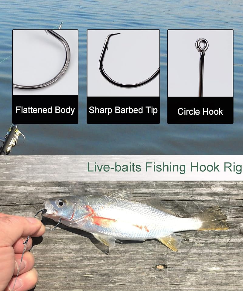 Offset Circle Fishing Hooks Rig 50pcs Saltwater Leader Set 9/0 (Variation 9/0, 50 Pack)