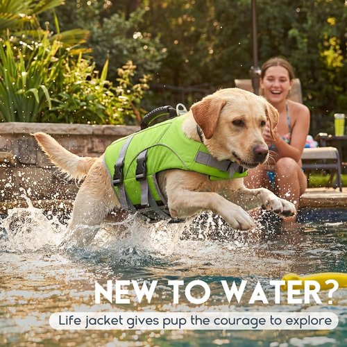 ASENKU Dog Life Jacket - High Buoyancy Swimming Vest with Rescue Handle | Adjustable Fit for Small to Large Dogs (Neon Green, Size S)