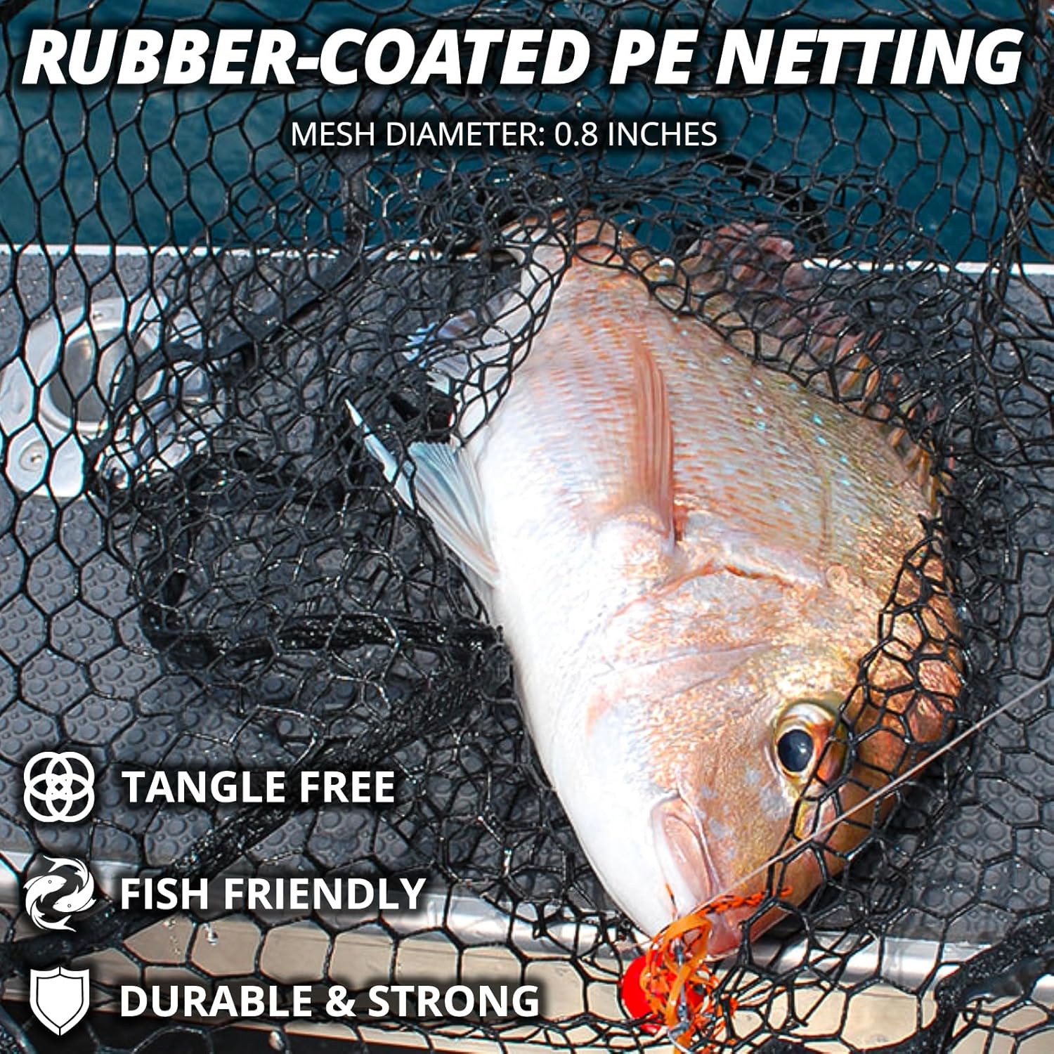 Telescoping Fishing Net by [Brand Name] - Lightweight Folding Landing Net with Rubber Netting | 56″-75″ Length, 20″ x 19″ Hoop