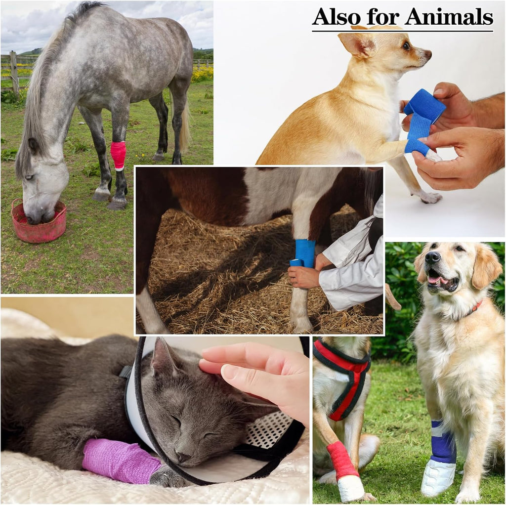 Skiennix Self-Adhesive Bandage Wraps - 6pcs, 2in, 12 Colors | 5 Yard for Sports & Swelling Relief