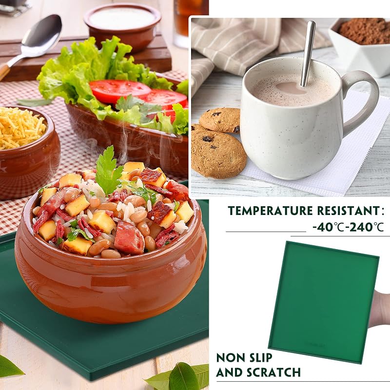 Green 8 Pcs Silicone Dehydrator Sheets & 10 Pcs Mesh Mats - Non-Stick, Reusable for Fruit Leather, Jelly & Snacks (Variation: Green)