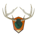 Allen Company Hunting Trophy Antler Mounting Kit, Green Skull Cover