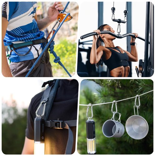 10 PCS Heavy Duty Carabiner Clips, 1360lbs 304 Stainless Steel Carabiners,3.16 inch D-Ring Snap Hook Keychain Spring Clips for Gym,Plant Hanging, Outdoor Camping, Hiking.