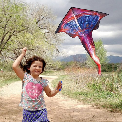 Mint's Colorful Life UFO Kite - Easy to Fly Delta Spaceship Design with 300Ft String (Red)