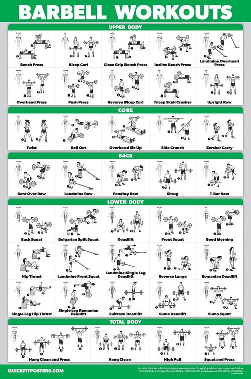 11 Pack - Exercise Poster Set, Dumbbell, Suspension, Kettlebell, Resistance Bands, Stretching, Bodyweight, Barbell, Yoga, Exercise Ball, Muscular System, Medicine Ball (LAMINATED, 18" x 24")