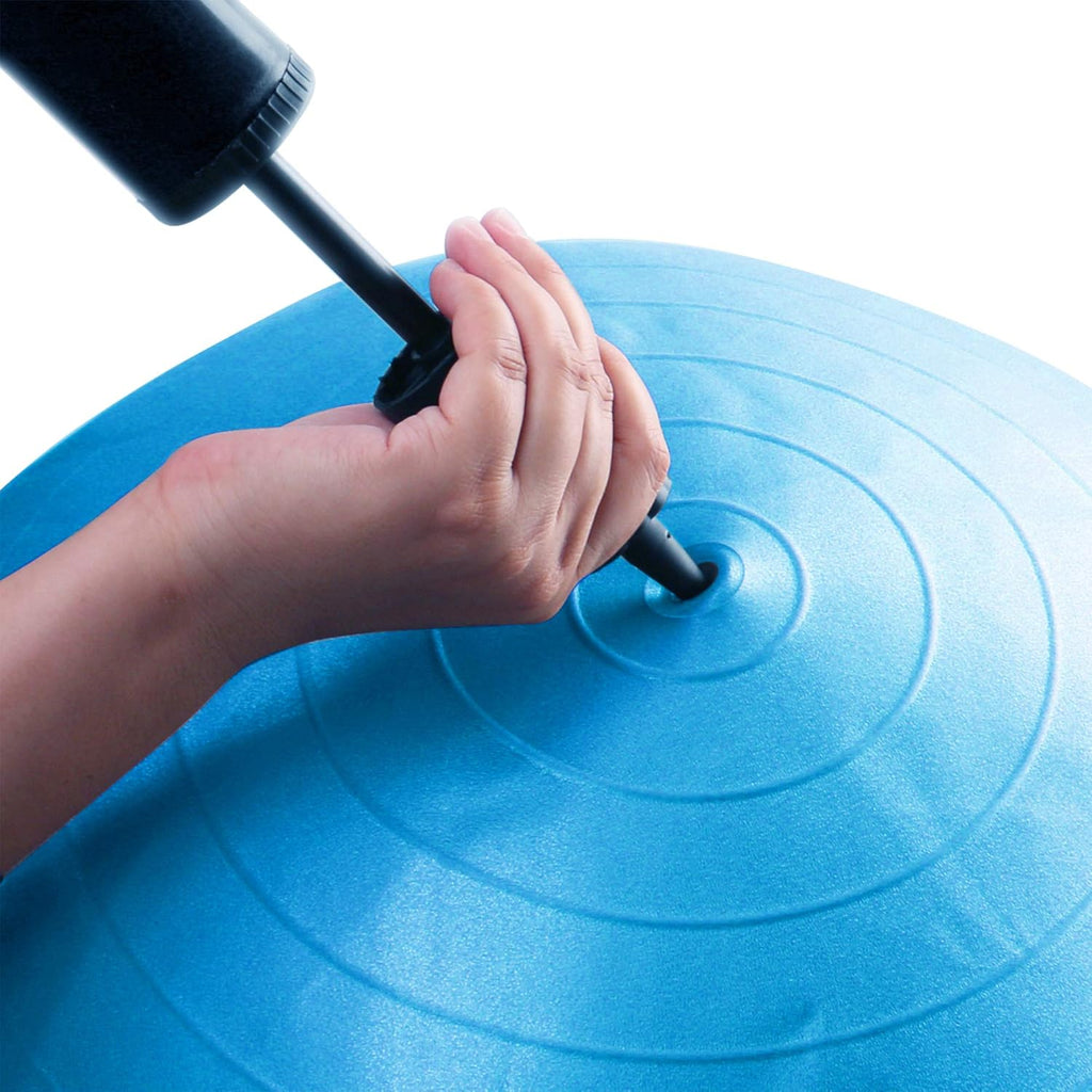 REEHUT Exercise Ball - Anti-Burst Yoga & Fitness Ball | Extra Thick Stability for Home & Gym (55cm, 65cm, 75cm)