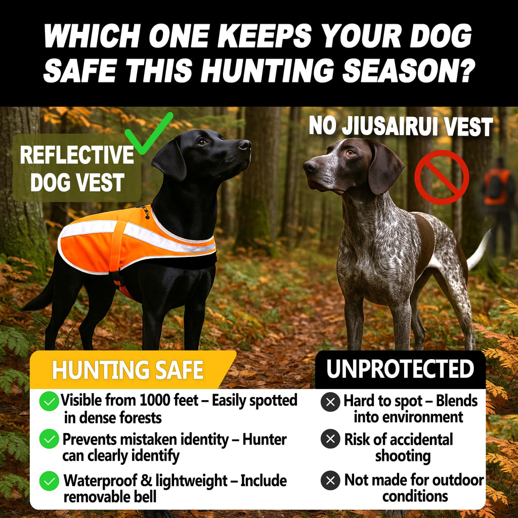 Reflective Dog Hunting Vest – Blaze Orange Safety Vest with Removable Bell, Waterproof and Lightweight (M)
