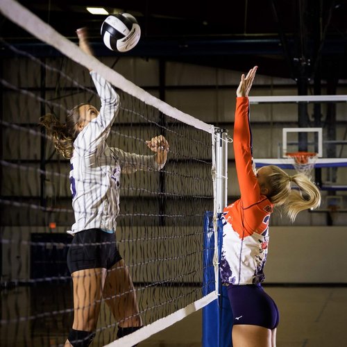 Champion Sports Volleyball Net Set - Durable Design | Multiple Styles Available