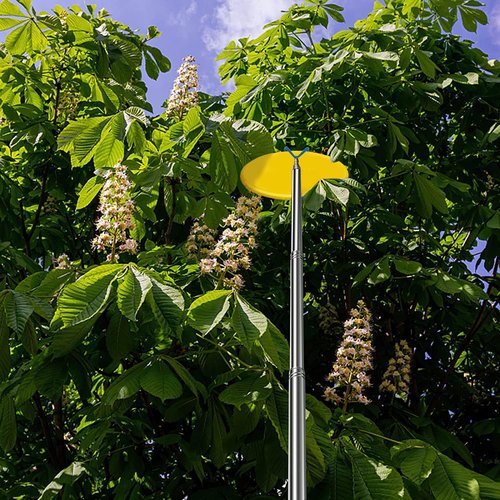 imgokaha Disc Golf Retriever Pole with 3 Hooks Telescopic Disc Golf Tool Golf Discs Retriever for Water Disc Golf Accessories for Outdoor Sports 10FT